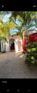a building with palm trees in front of it at Évasion Naturelle in Grand-Baie