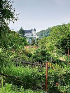 a large house in the distance with a garden at Ferienhaus-Juliana in Stolberg