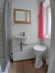 a bathroom with a white toilet and a sink at Ferienhaus-Juliana in Stolberg +26 photos