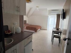 a kitchen with a bed and a sink in a room at Apartmani Preradović in Pančevo