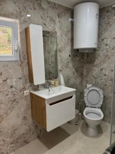 a bathroom with a toilet and a sink and a mirror at Bulatović in Ðuranovići +24 photos