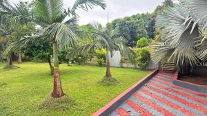a garden with two palm trees in a yard at Mercy Guesthouse in Thohoyandou
