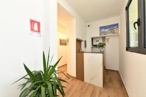 a room with a counter and a plant in it at Mondeo B&B in Udine