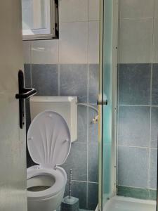 a small bathroom with a toilet and a shower at Radovic Apartmani in Herceg-Novi