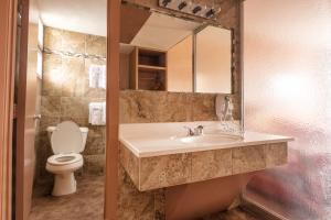a bathroom with a sink and a toilet at Luray Caverns Motels in Luray