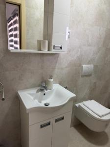 a bathroom with a sink and a toilet and a mirror at Apartmani Preradović in Pančevo +23 photos