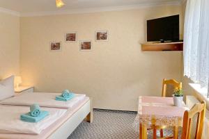 a room with two beds and a tv on the wall at Hibiskus in Lübbenau