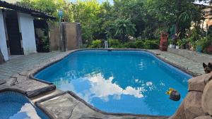 a swimming pool with a dog sitting next to it at Hotel Vilcabamba Eterna Juventud in Vilcabamba +82 photos