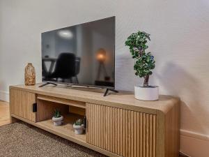 a television on a wooden stand with a potted plant at Le Michels - Gare - CEA - STMicro in Fontaine