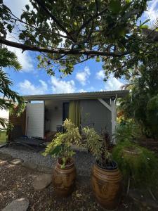a house with two large pots of plants in front of it at Bungalow cocon des alizés in Les Abymes