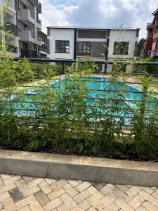 a swimming pool with plants in front of a building at JOJO Staycations in Rungiri