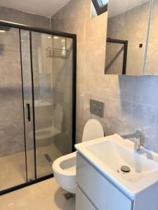 a bathroom with a toilet and a sink and a shower at Ephesus in Belek +12 photos