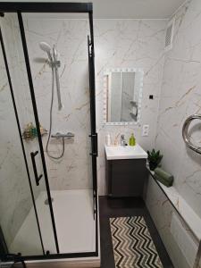 a bathroom with a shower and a sink at Agnes Apartament in Valmiera