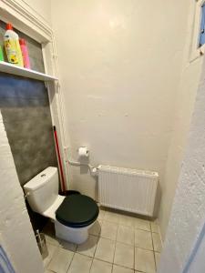 a bathroom with a toilet with a green lid at Charmant 3 pièces in Saint-Claude
