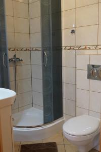 a bathroom with a shower with a toilet and a sink at Willa Wisełka in Wisła