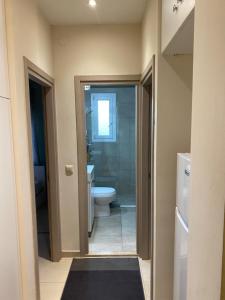 a bathroom with a toilet and a shower and a sink at Christina Apartment 2 in Drama
