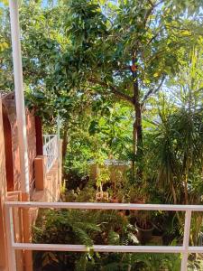 a view of a garden from a balcony at Villa Zaboka in Baillif