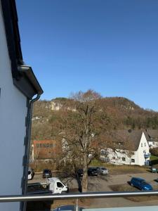 a view of a tree from a window at AdiFerienwohnung in Gerolstein +2 photos