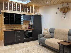 a living room with a couch and a kitchen at Studio PRINTEMPS in Sens