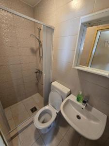 a bathroom with a toilet and a sink at Apartman Stari grad, Budva in Budva