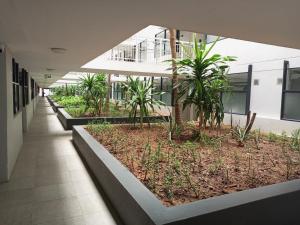 a hallway of an office building with plants at The Millennial, Secure parking, 3 mins to Gateway in Durban