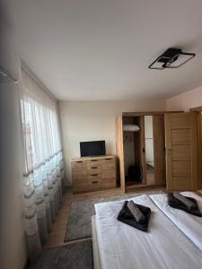 a bedroom with a bed and a dresser and a mirror at Martin's Apartment in Bansko