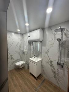 a bathroom with a toilet and a sink at Martin's Apartment in Bansko +11 photos