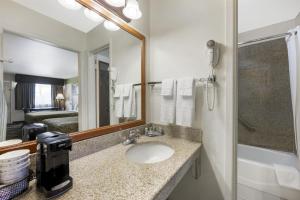 a bathroom with a sink and a large mirror at Best Western Caprock Inn in Brownfield +24 photos