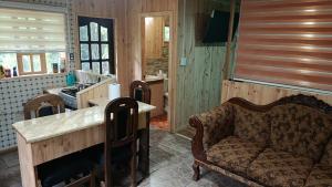 a living room with a couch and a kitchen at Cabaña monoambiente N 2 in Chaitén