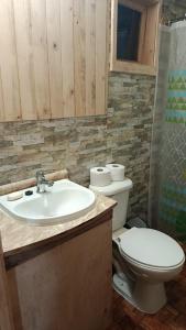 a bathroom with a sink and a toilet at Cabaña monoambiente N 2 in Chaitén