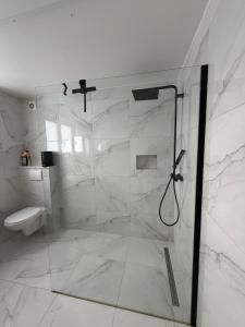 a white bathroom with a shower and a toilet at La Priva House in Charleroi