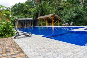 a blue swimming pool with a bench and a hut at Coati Lodge Misahualli in Tena