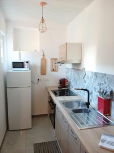 a kitchen with a sink and a white refrigerator at Appartement Fleur De Lys in Fort-de-France