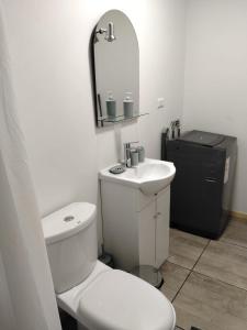 a bathroom with a toilet and a sink and a mirror at Cabañas Haru Puerto Natales in Puerto Natales