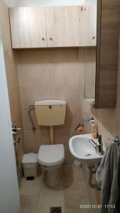 a small bathroom with a toilet and a sink at 150 metres from the beach dafnes Patra in Patra +22 photos