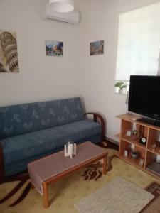 a living room with a blue couch and a coffee table at 150 metres from the beach dafnes Patra in Patra