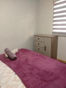 a bedroom with a purple blanket on a bed at Cabañas Haru Puerto Natales in Puerto Natales