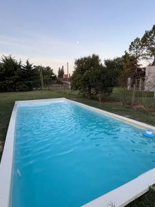 a large blue swimming pool in a yard at Carpe diem CyC in Chascomús