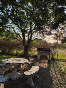 two picnic tables and a bench under a tree at Carpe diem CyC in Chascomús