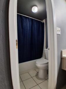 a bathroom with a toilet and a blue shower curtain at King Bed Hotel Room 255 in Jackson +5 photos