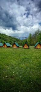 a group of barns in a field of green grass at Camp Budečevica in Žabljak