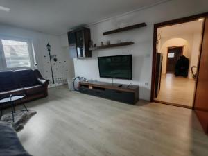 a living room with a television and a couch at Lusana in Moravske-Toplice