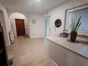 a living room with a potted plant on a counter at Lusana in Moravske-Toplice