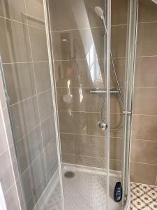 a shower with a glass door in a bathroom at Ferienwohnung Sonnentälchen in Konz +18 photos