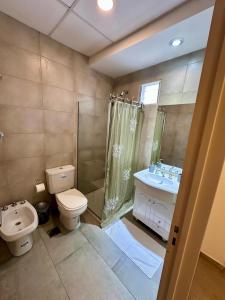 a bathroom with a toilet and a shower and a sink at Concepcion Apart in Concepción