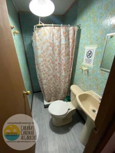 a bathroom with a toilet and a sink and a shower at cabañas canemar in Hueyilemu