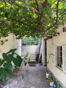 a patio of a house with a chair under a tree at Casitadelavid in Capilla del Monte