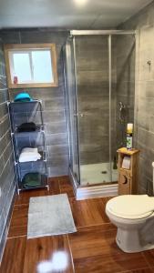 a bathroom with a shower and a toilet at Cabañas Canaan in Coñao +10 photos