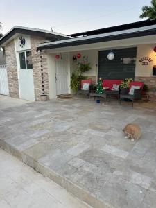 a cat sitting on a patio in front of a house at Miramar's Studio in Miramar