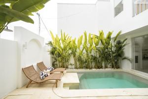 a swimming pool in a house with chairs and plants at The Belluoccio Villa Pererenan in Tumbak Bayuh